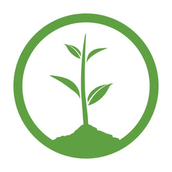 One Tree Planted | Rollacrit