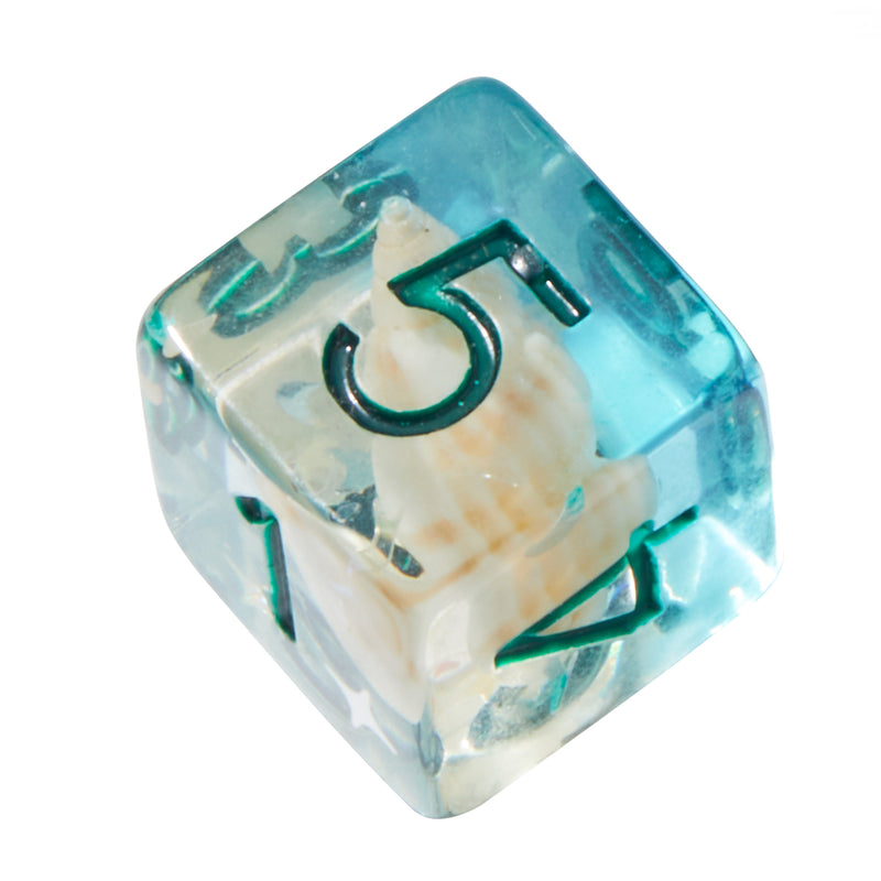 Blue Conch Shell Resin 7pc Dice Set | Rollacrit