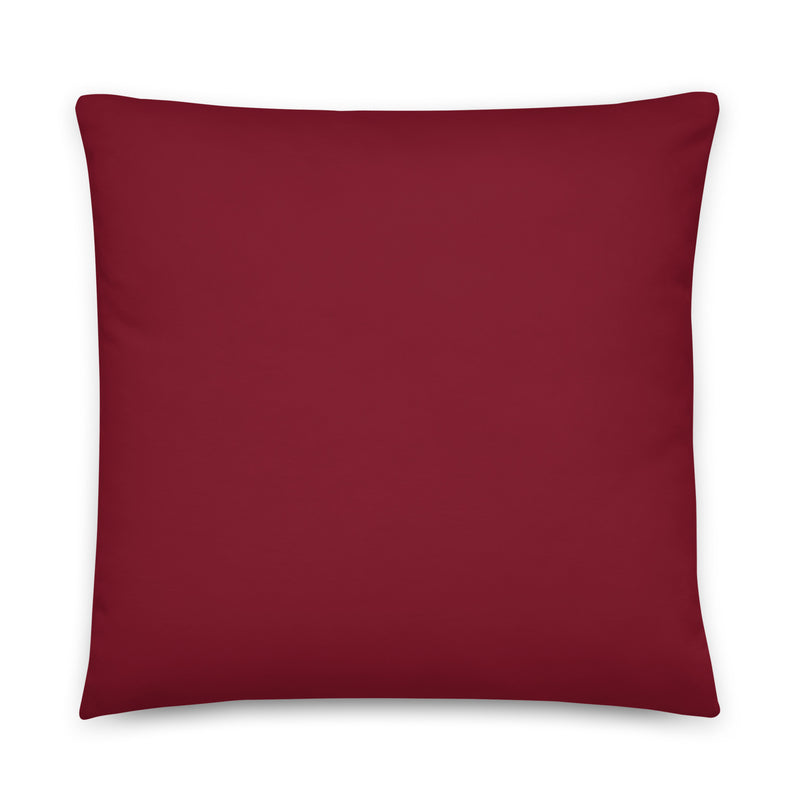 On a Side Quest Pillow