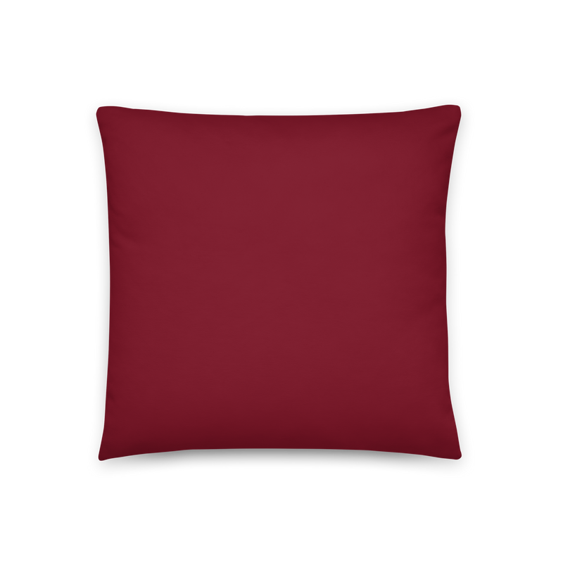 On a Side Quest Pillow | Rollacrit